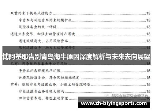 博阿基耶告别青岛海牛原因深度解析与未来去向展望