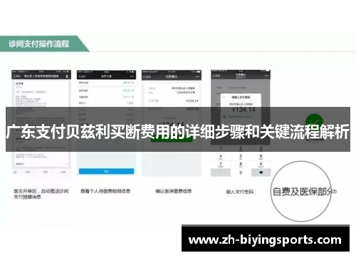 广东支付贝兹利买断费用的详细步骤和关键流程解析