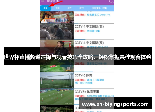 世界杯直播频道选择与观看技巧全攻略，轻松掌握最佳观赛体验