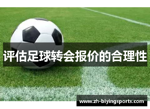 评估足球转会报价的合理性 评估足球转会报价的合理性